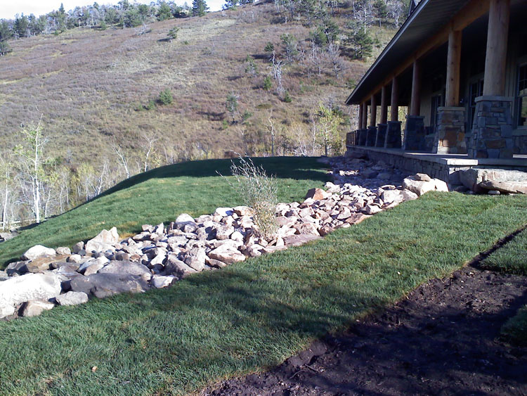 Sod and Drain System